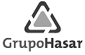 grupo hasar 2