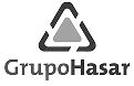 grupo hasar 2